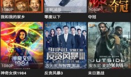 沃神最新爆料全部视频大全,视频大全深度解析，揭秘娱乐圈幕后真相